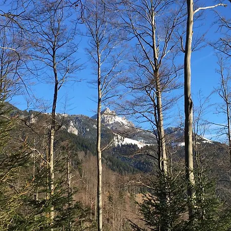 Am Berg In 아파트