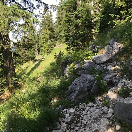 Am Berg In